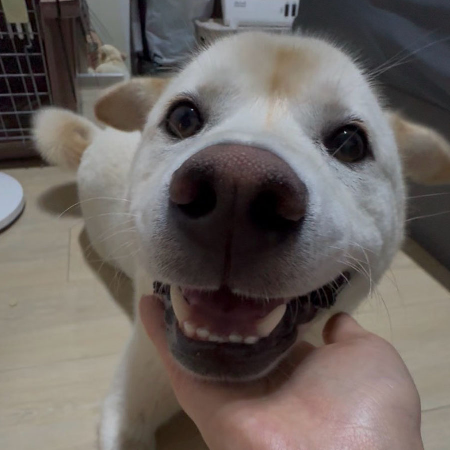 상세 사진 4