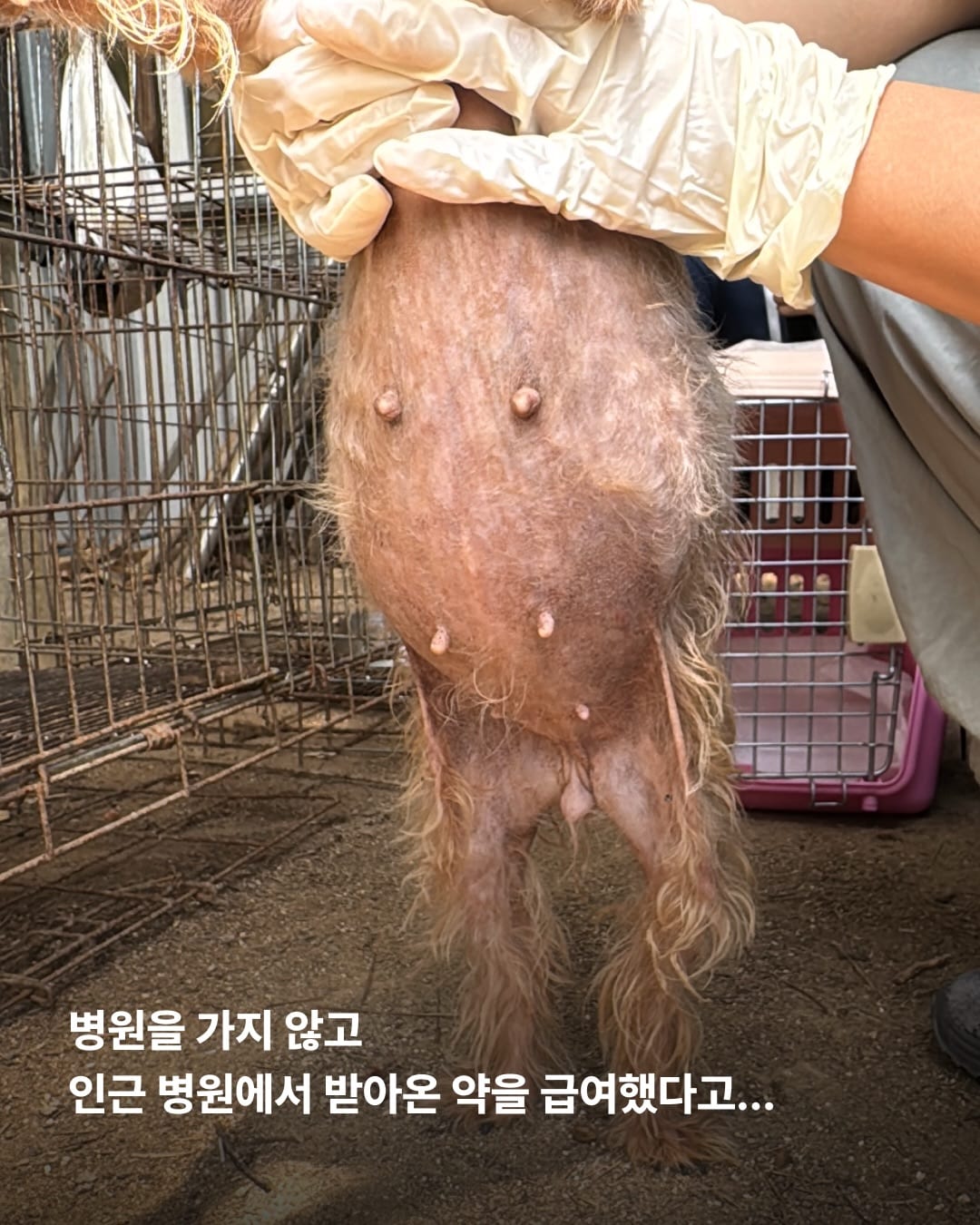 상세 사진 6