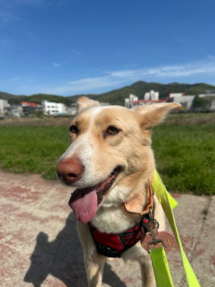 상세 사진 1
