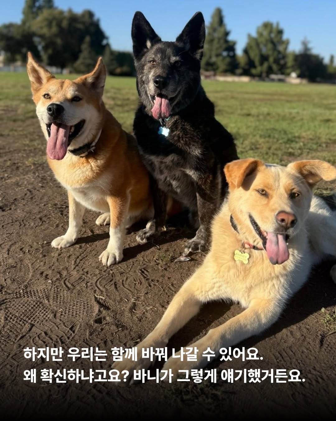상세 사진 8