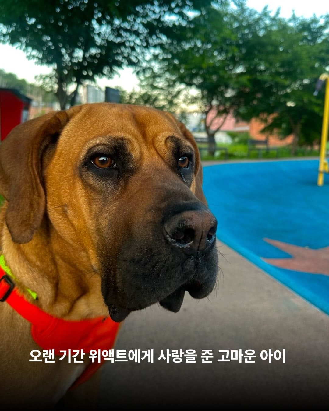 상세 사진 13