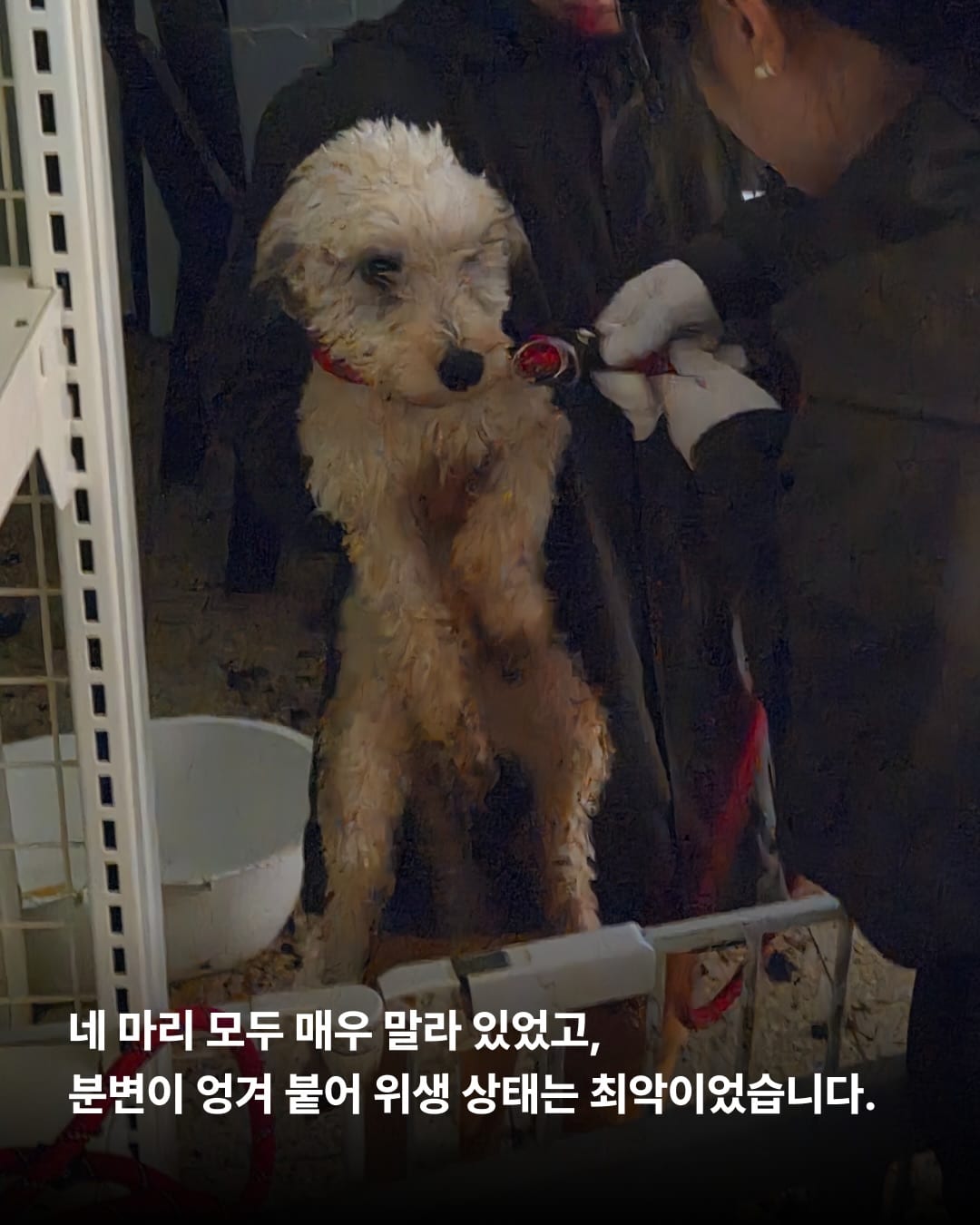 상세 사진 10