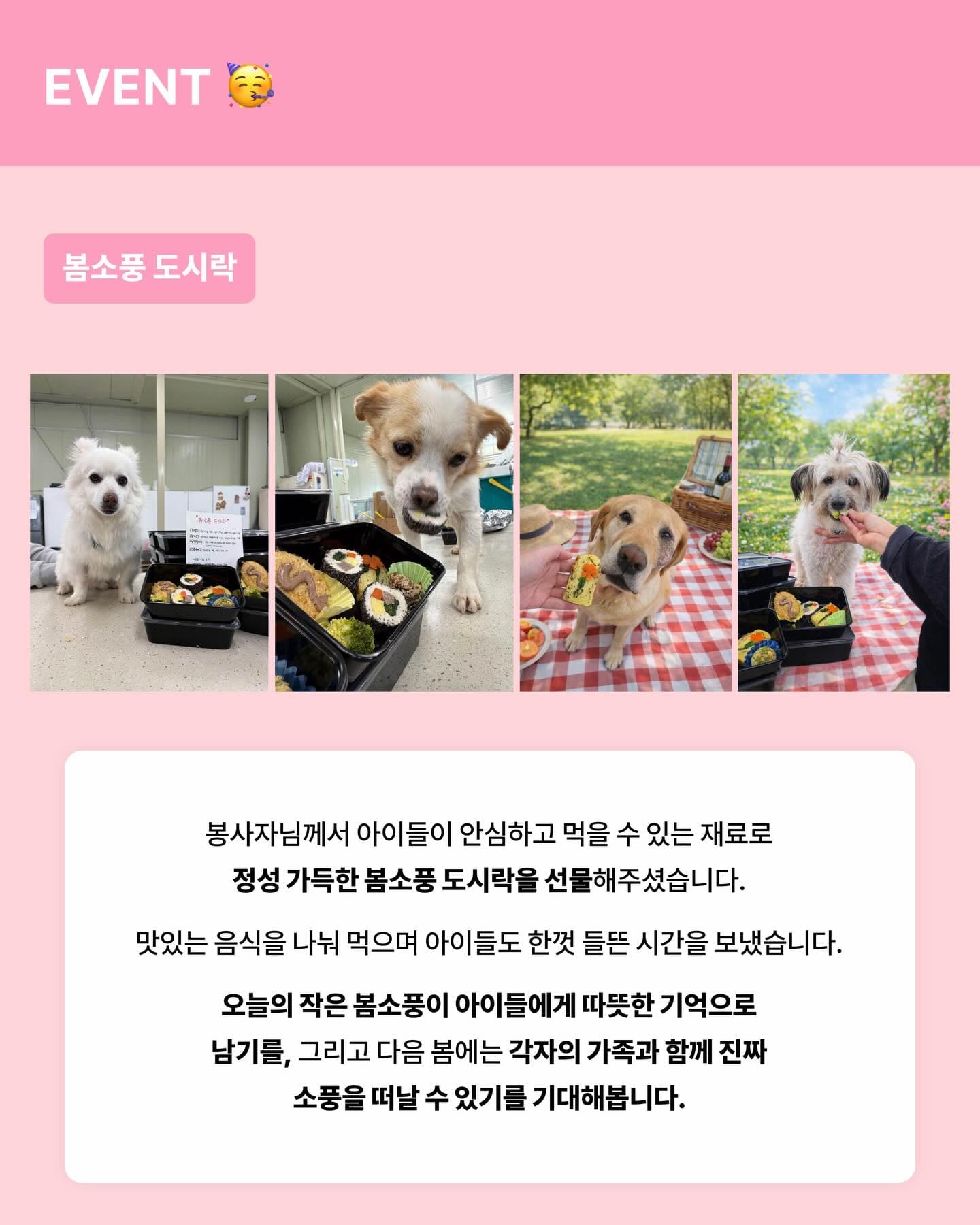 상세 사진 12