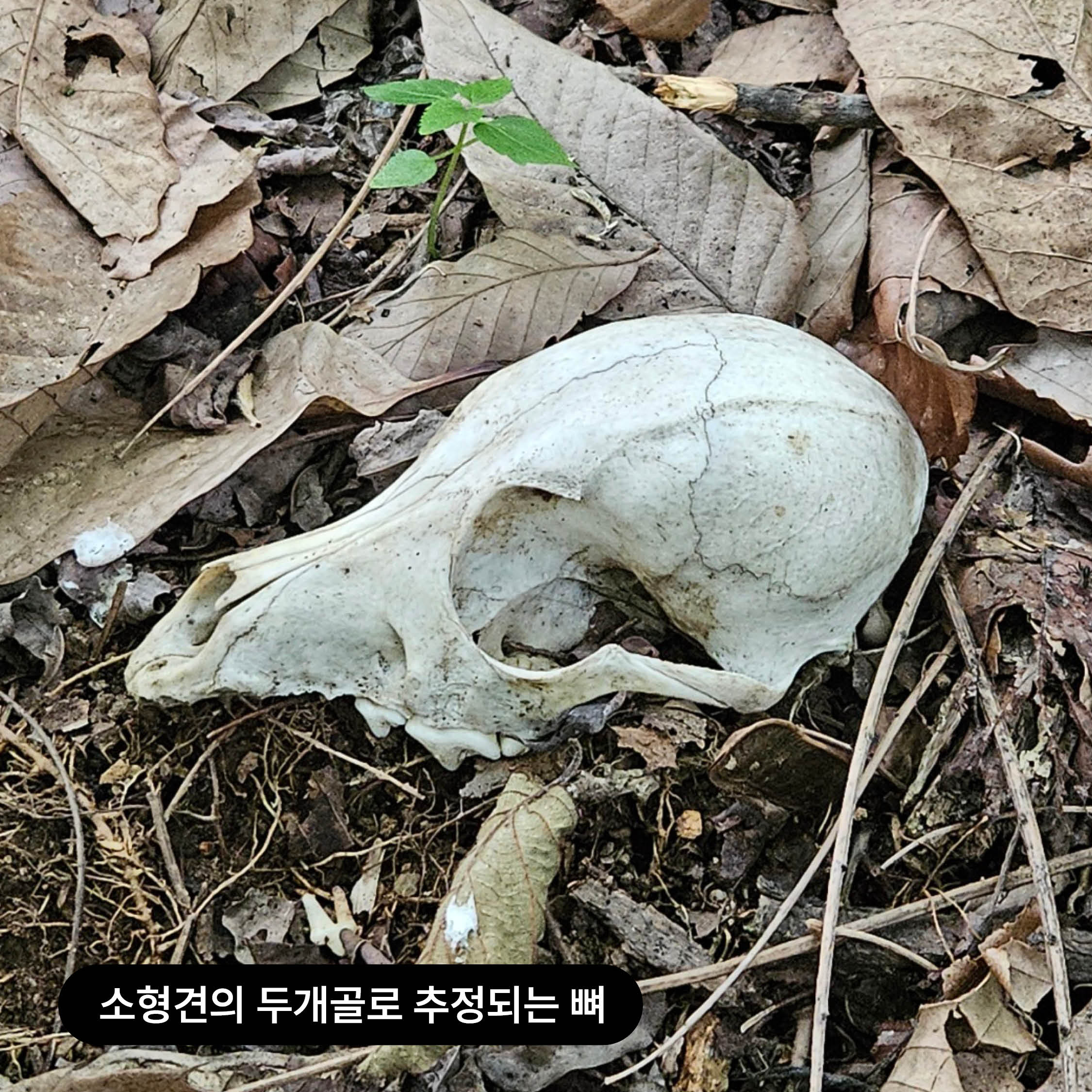 상세 사진 3