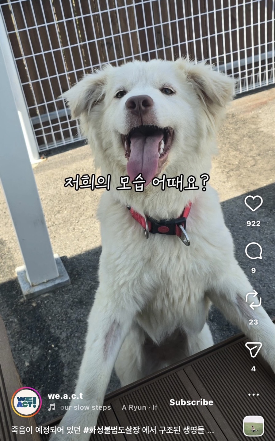 상세 사진 9