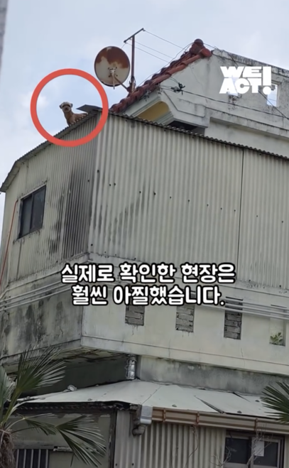 상세 사진 2