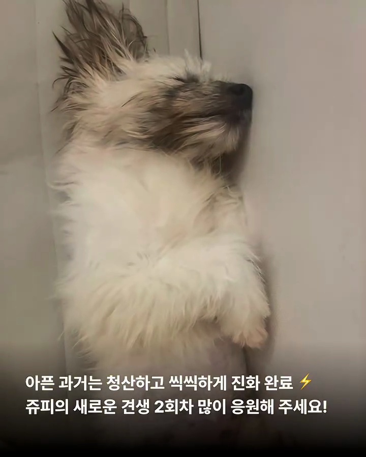 상세 사진 10