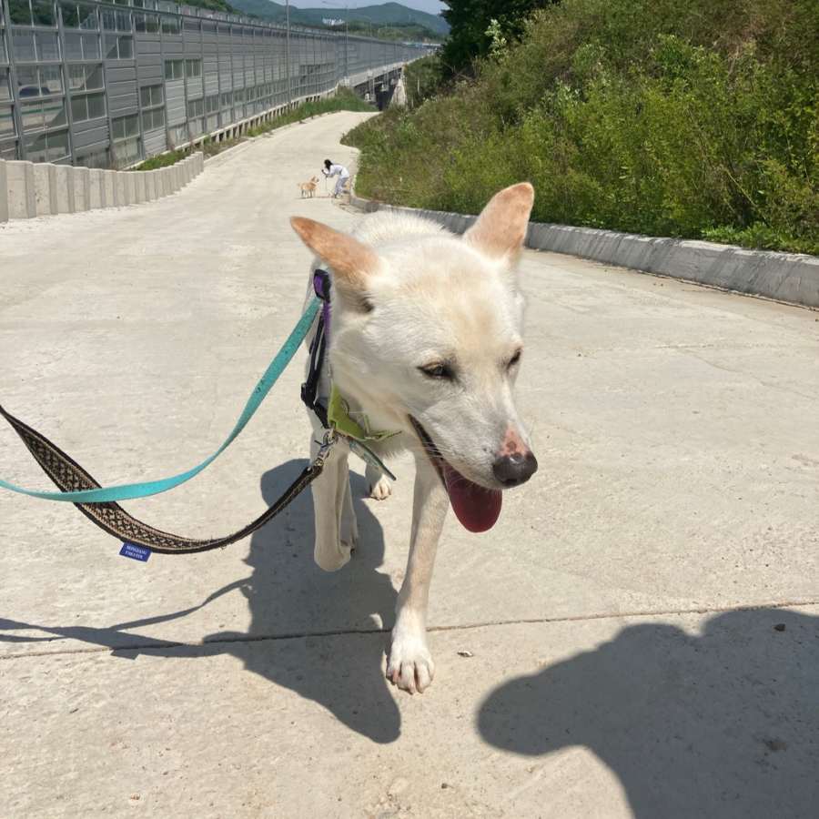 상세 사진 8