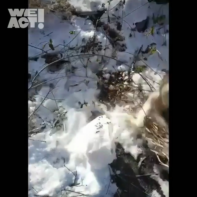 상세 사진 3