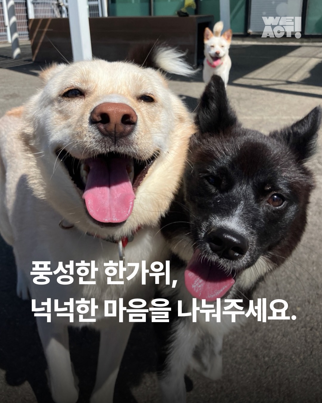 상세 사진 1