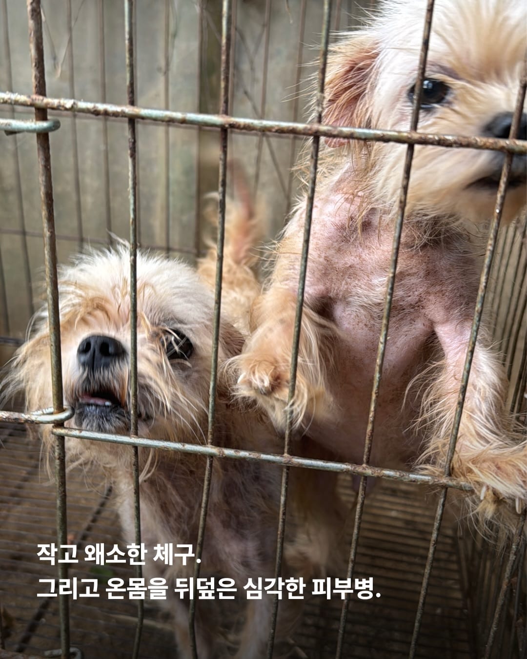 상세 사진 3