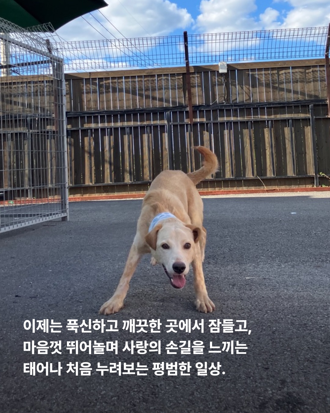 상세 사진 8