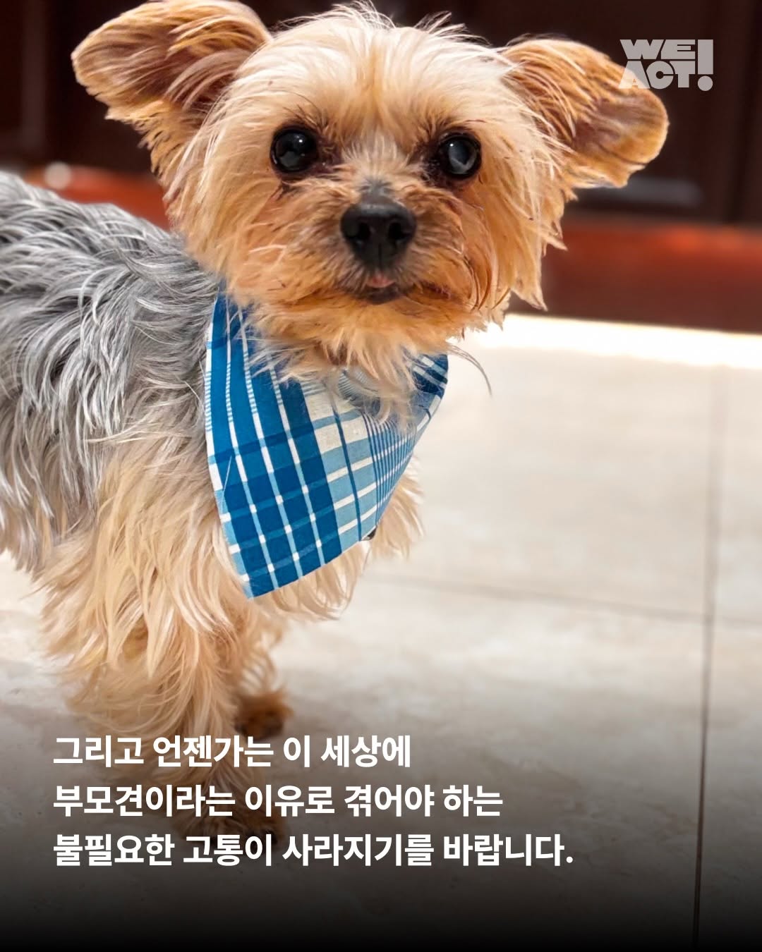 상세 사진 9