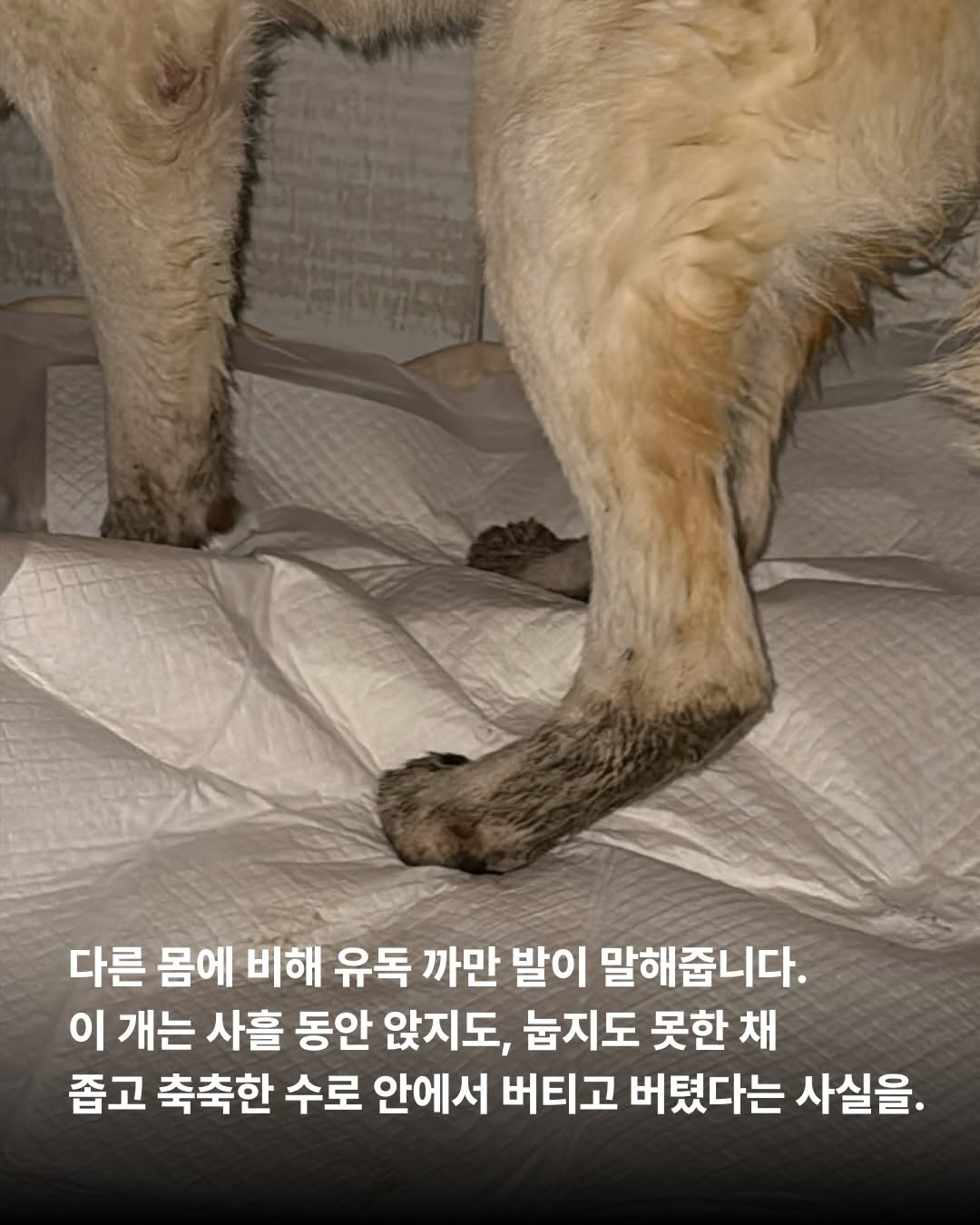 상세 사진 7