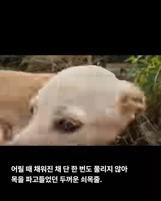 상세 사진 2