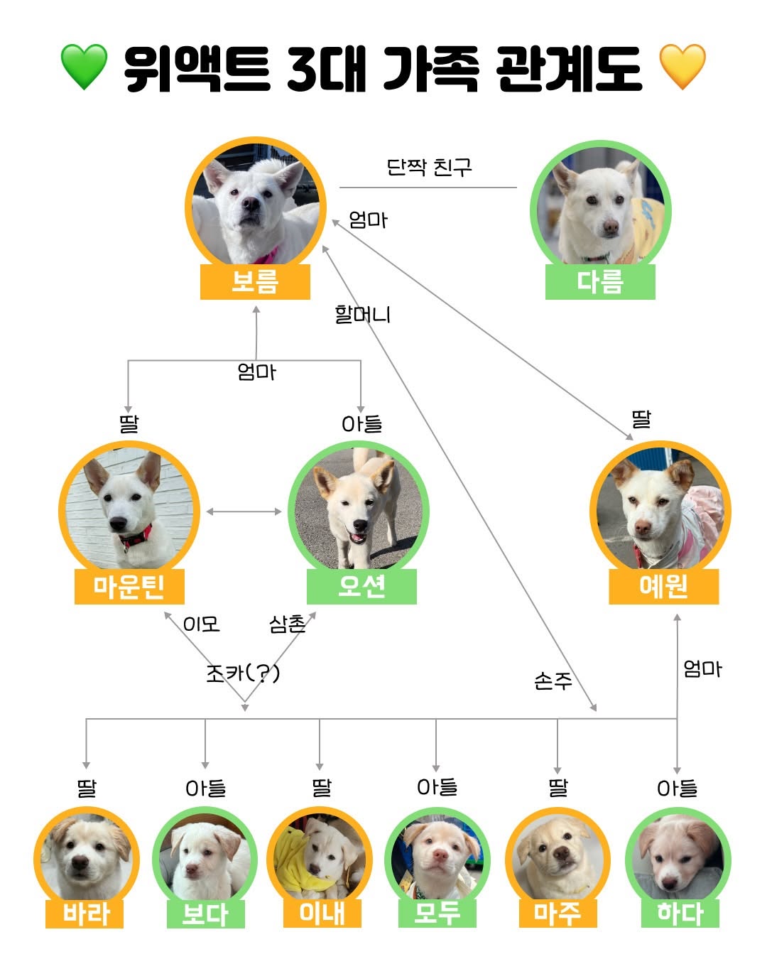 상세 사진 3