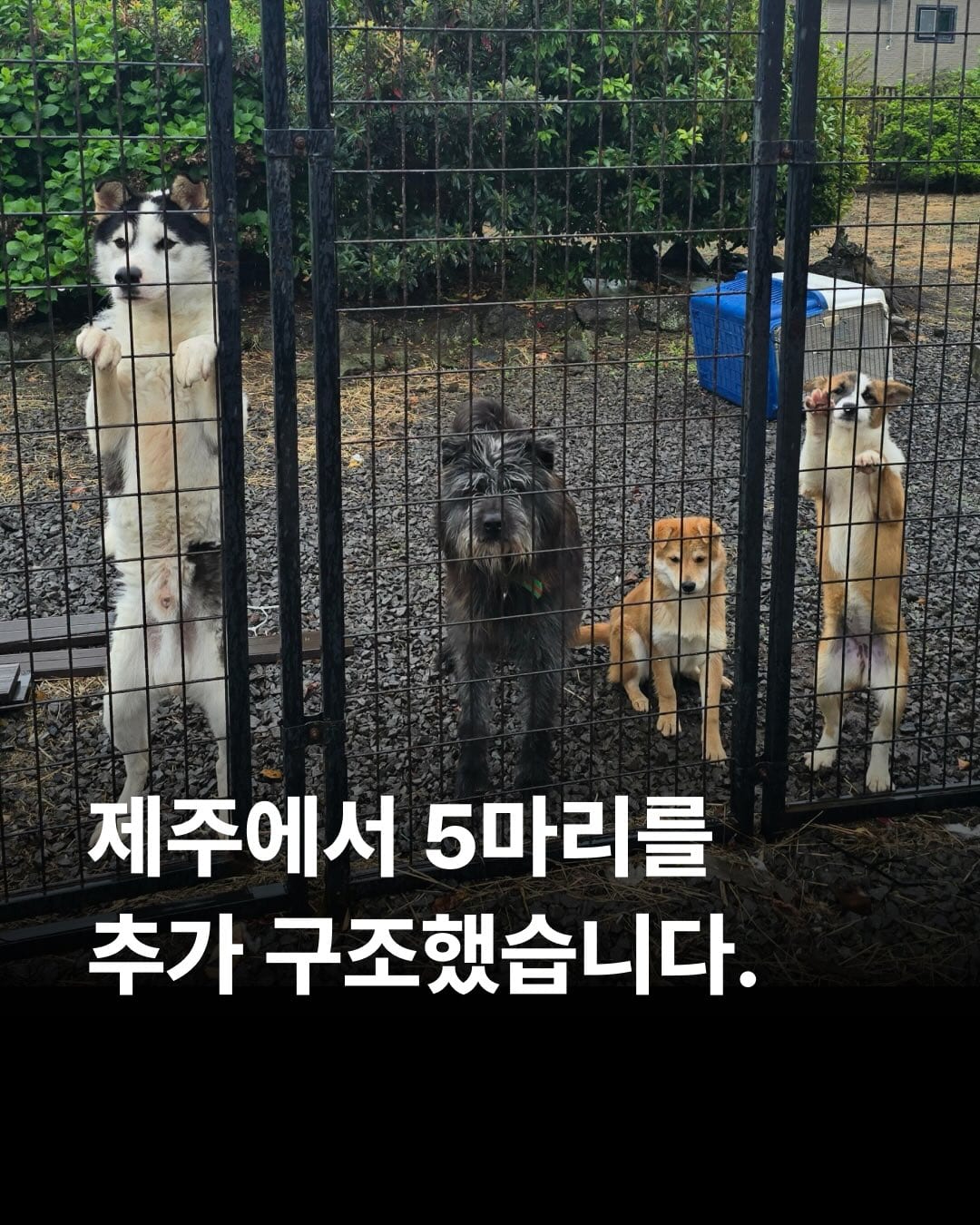 상세 사진 1