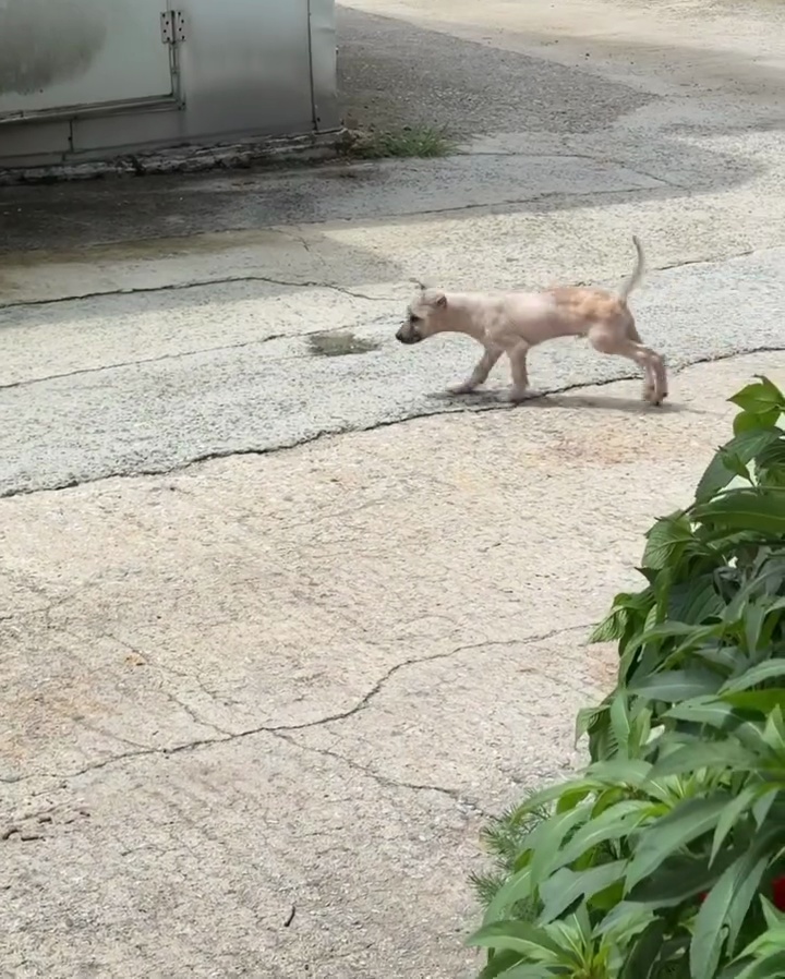 상세 사진 3