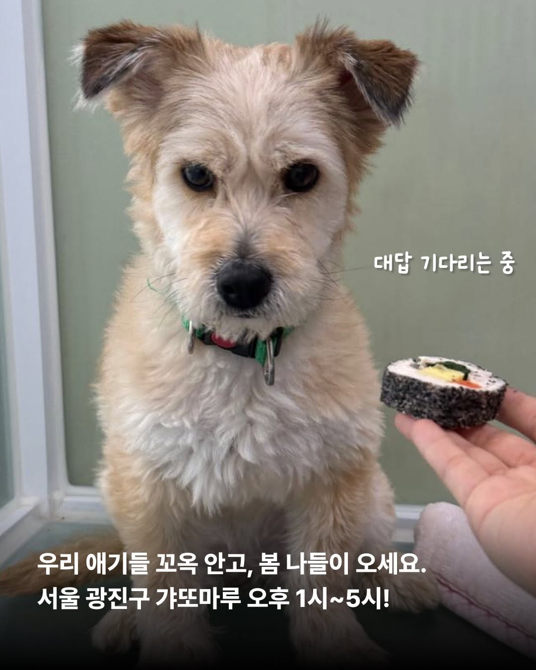 상세 사진 7