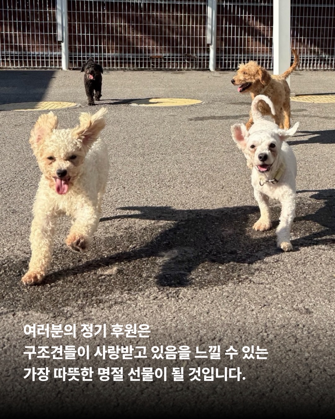 상세 사진 12