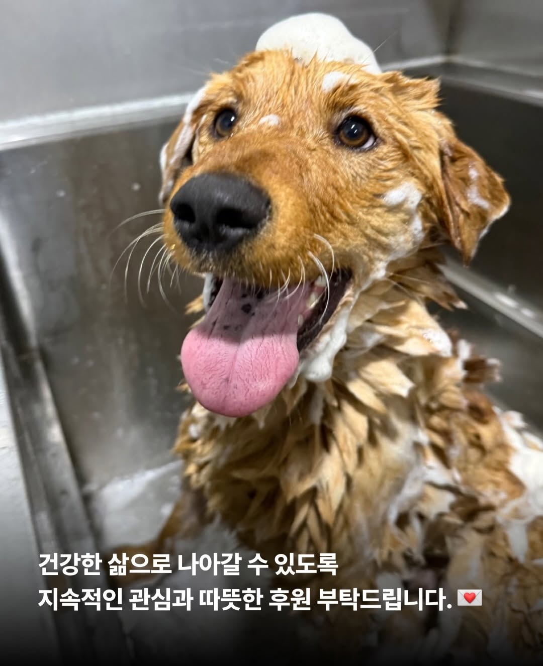 상세 사진 10