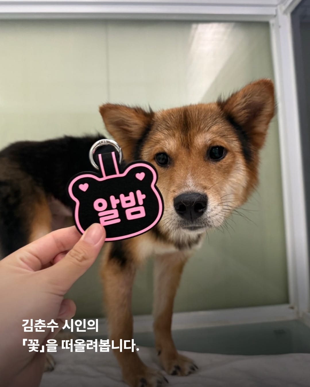 상세 사진 9