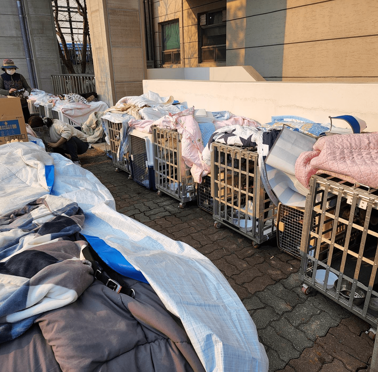 상세 사진 11