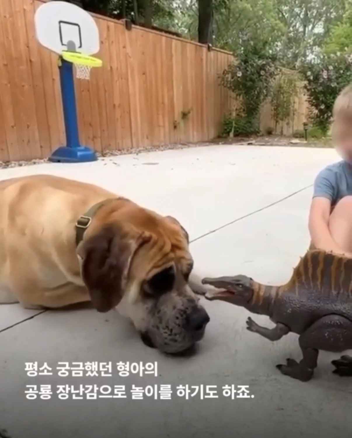 상세 사진 8