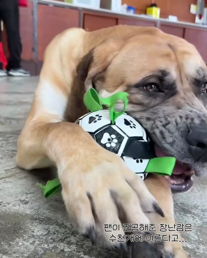 상세 사진 18