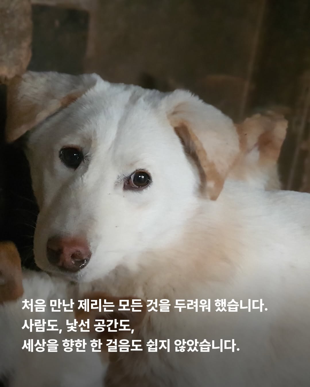 상세 사진 3