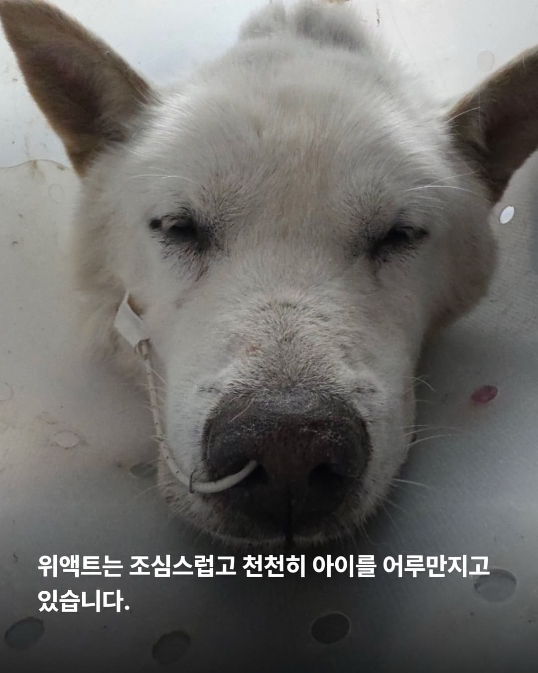 상세 사진 9