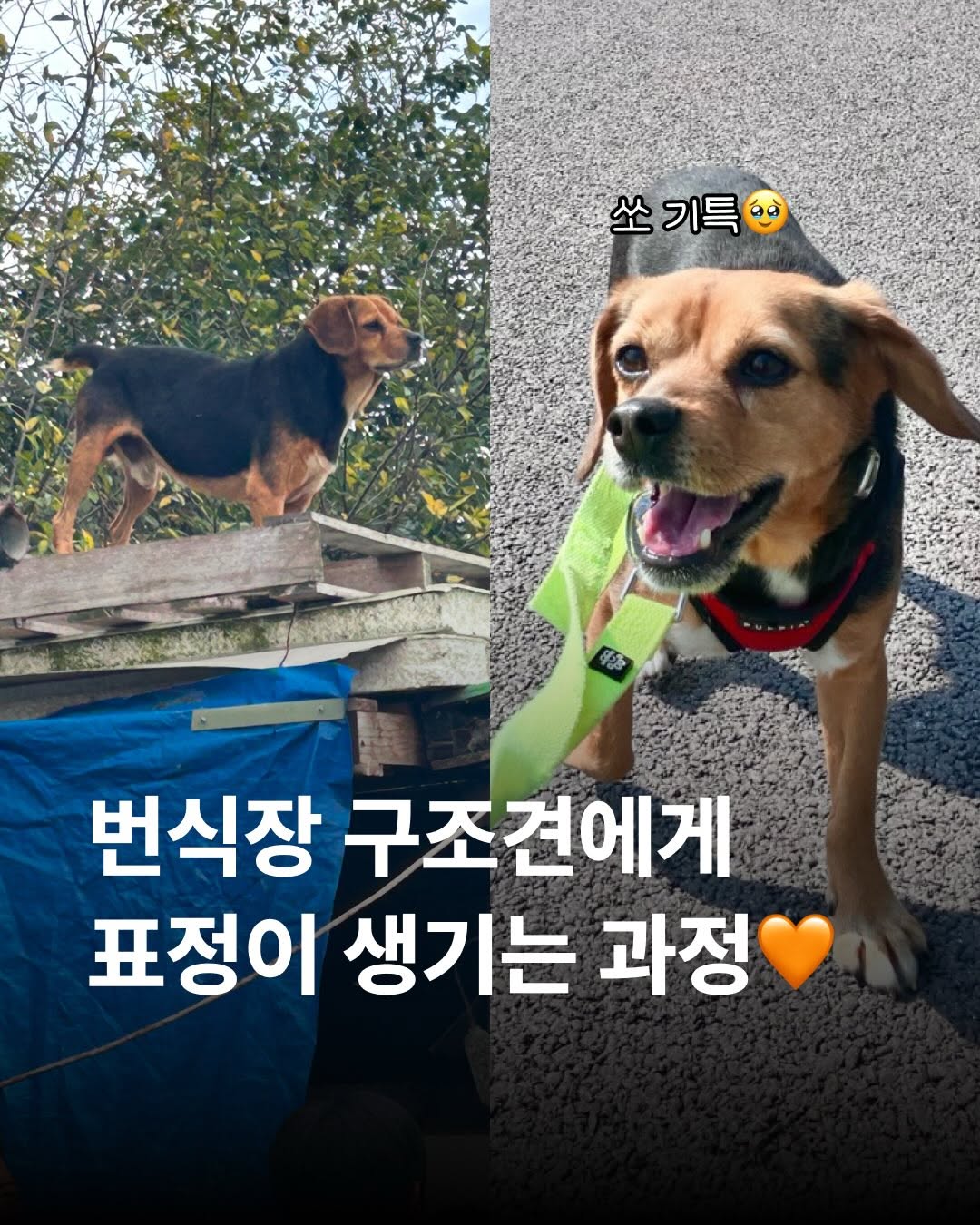 상세 사진 1