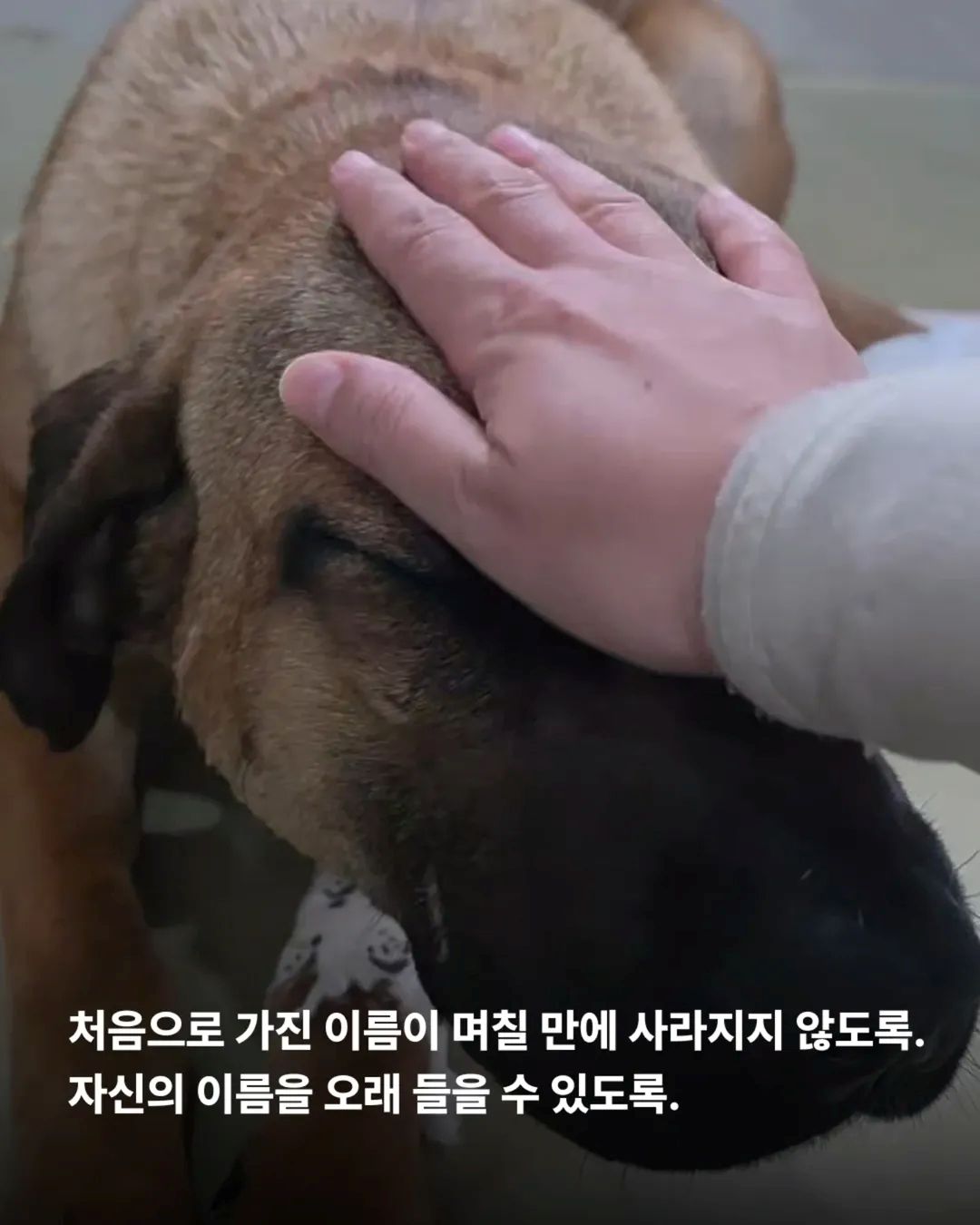 상세 사진 13