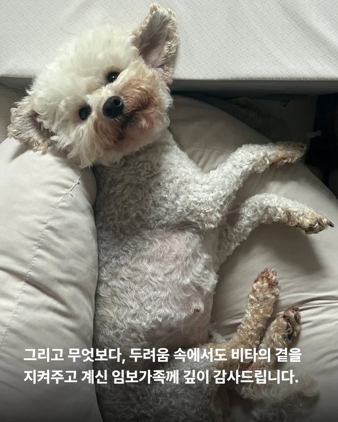 상세 사진 11
