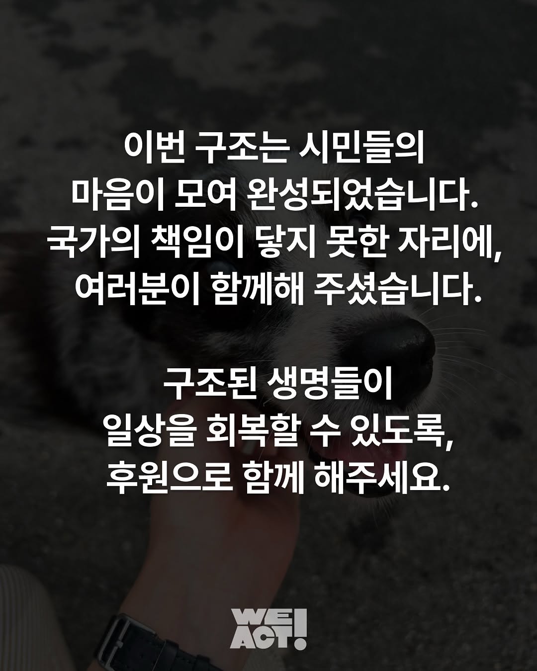 상세 사진 6