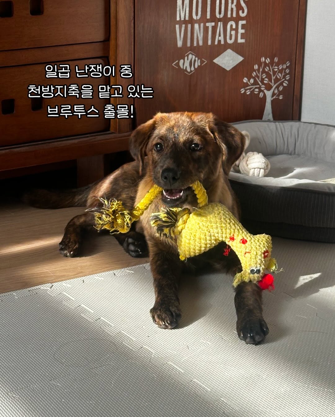 상세 사진 2