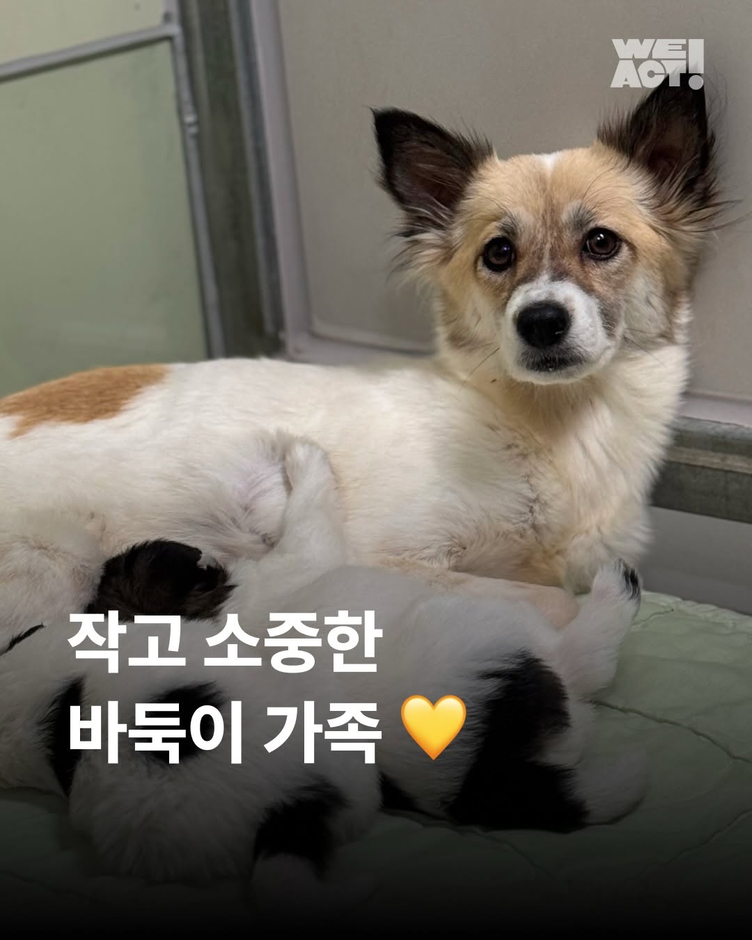 상세 사진 1