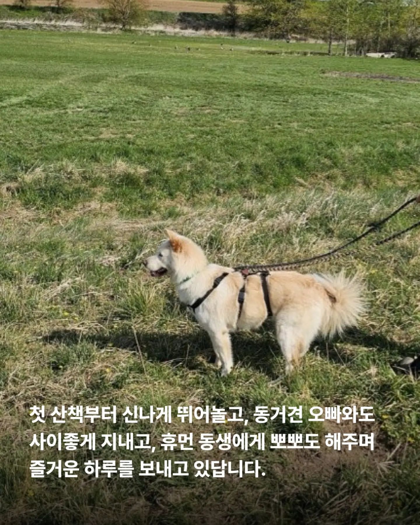 상세 사진 7