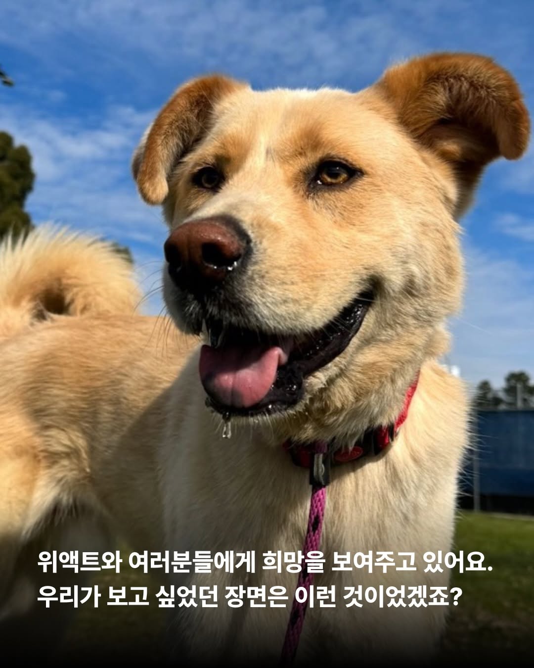 상세 사진 6