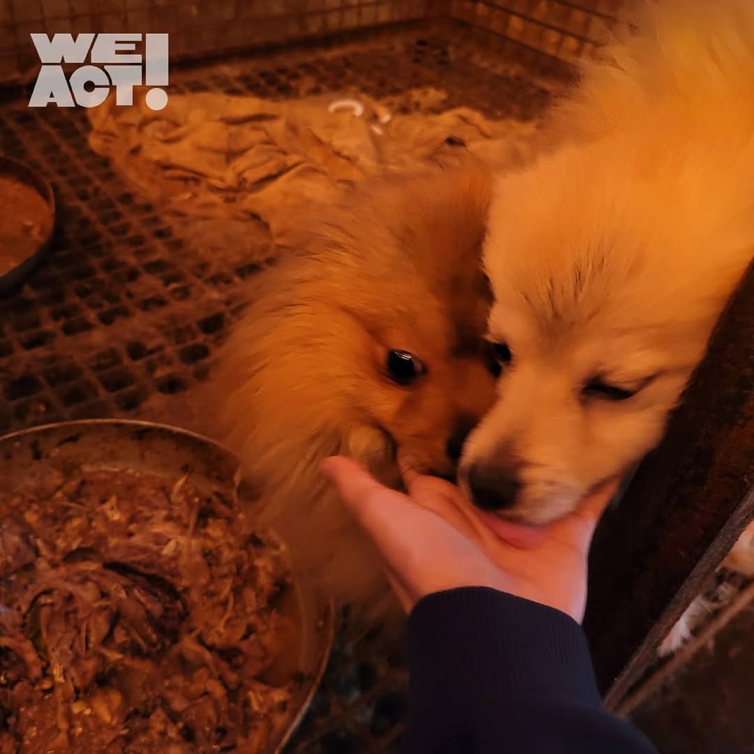 상세 사진 7