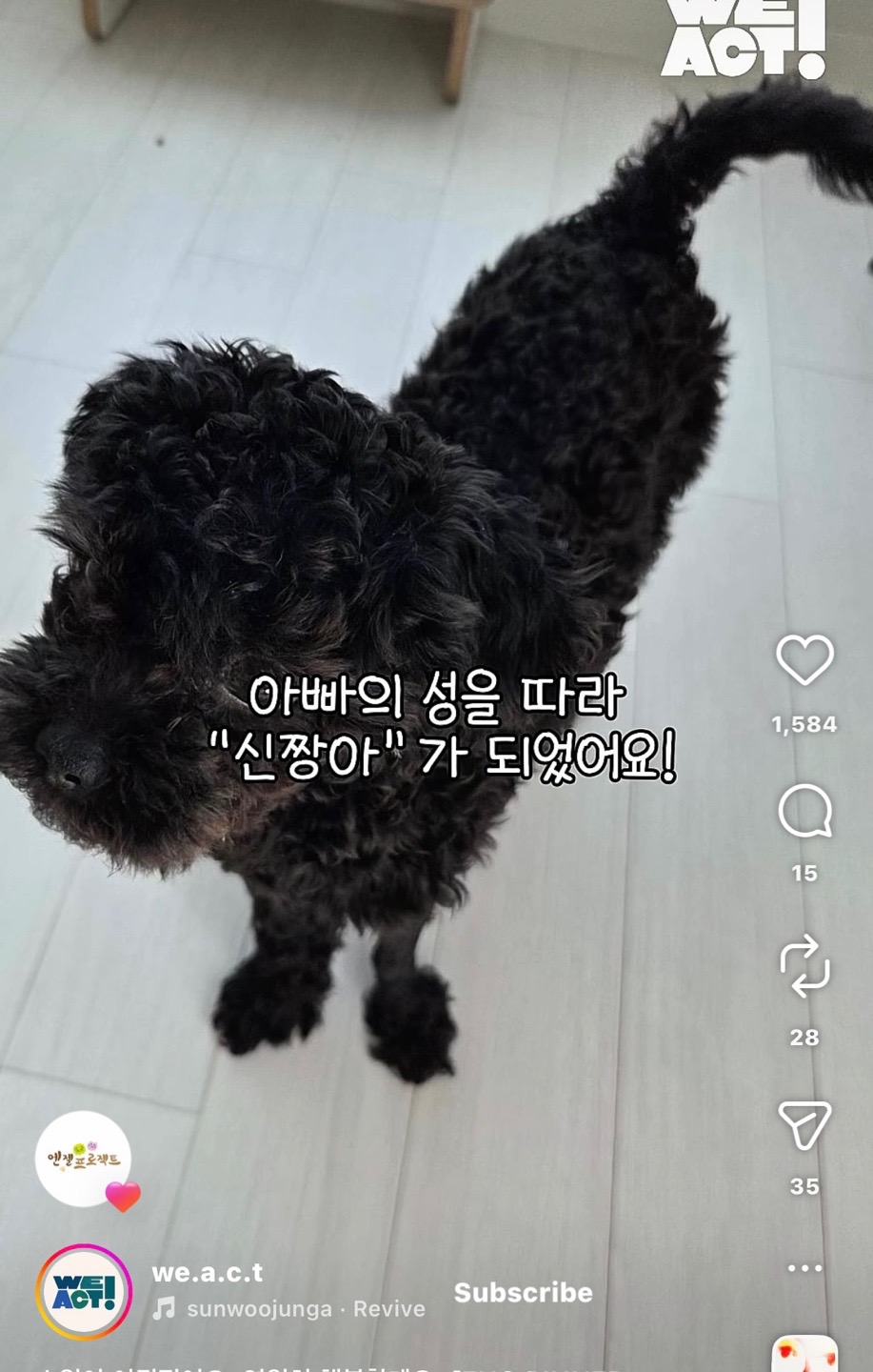 상세 사진 13