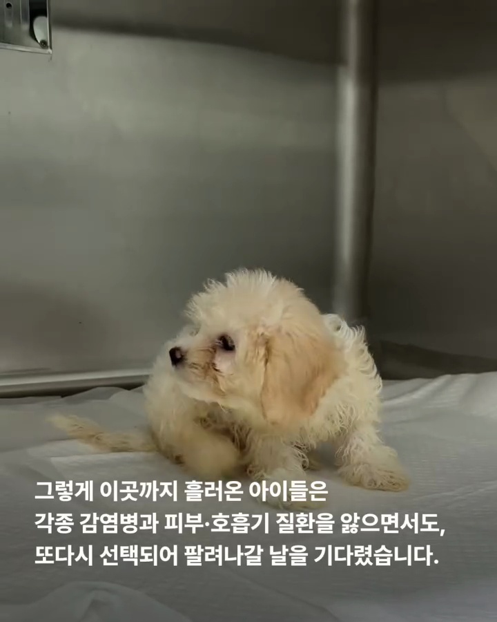 상세 사진 14