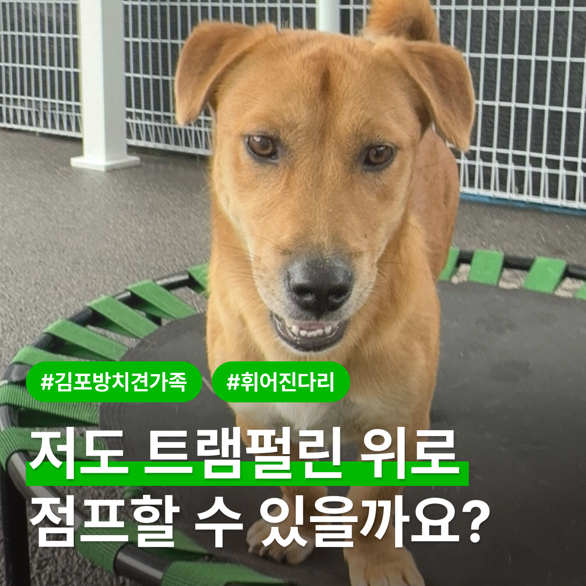 상세 사진 1