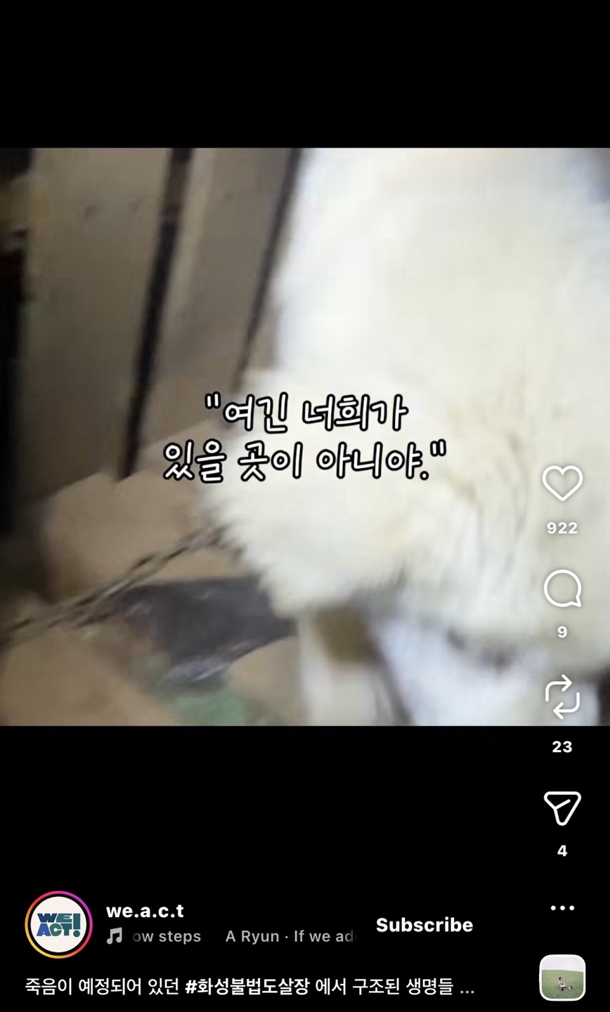 상세 사진 5