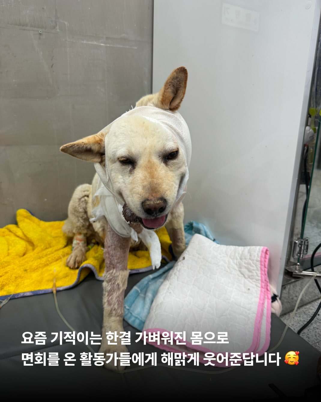상세 사진 5