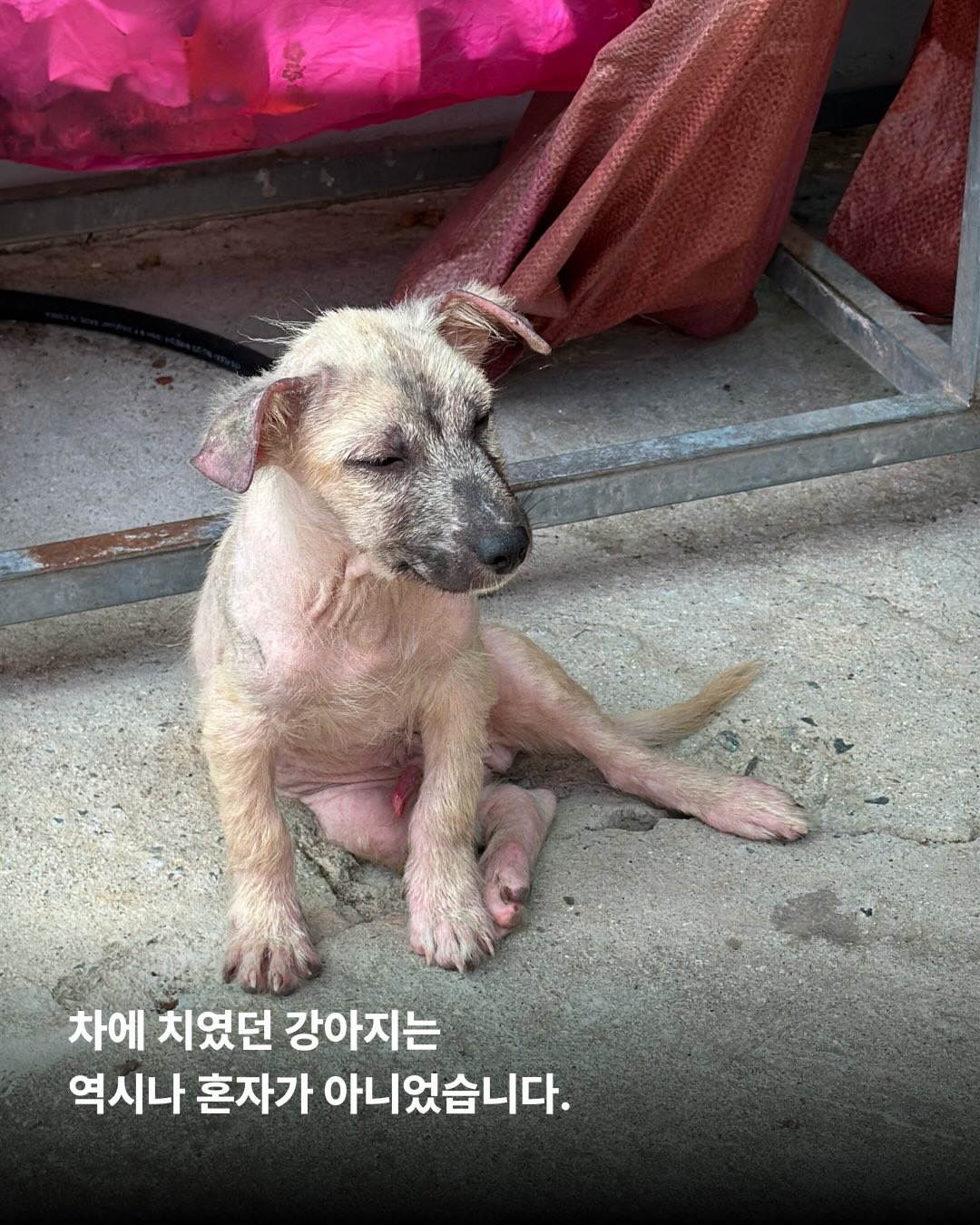 상세 사진 2