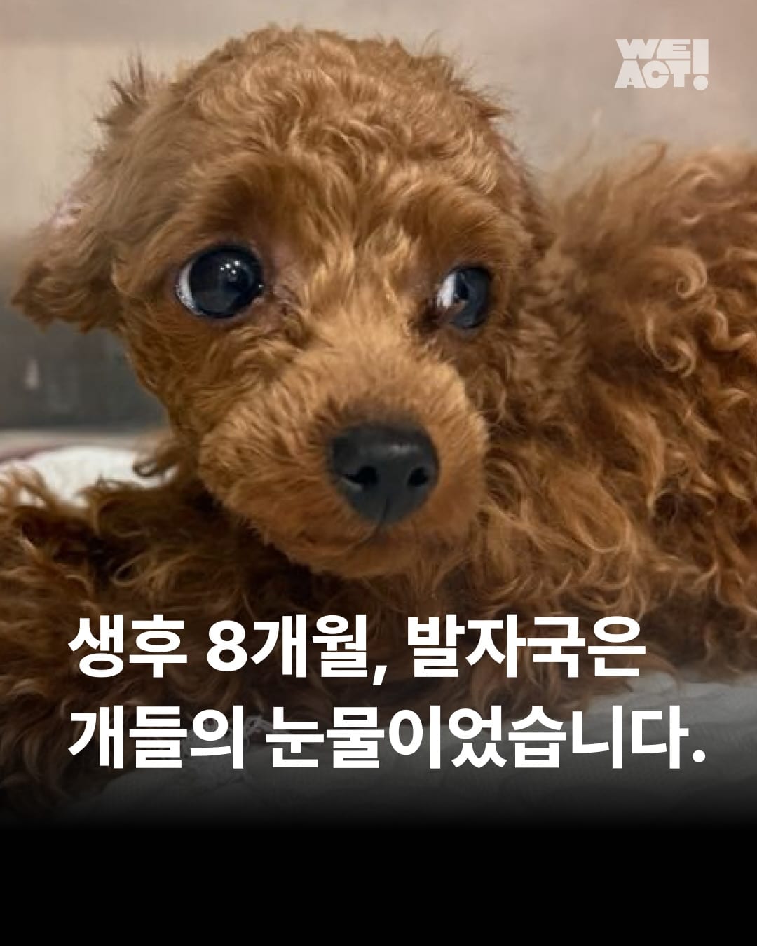 상세 사진 1