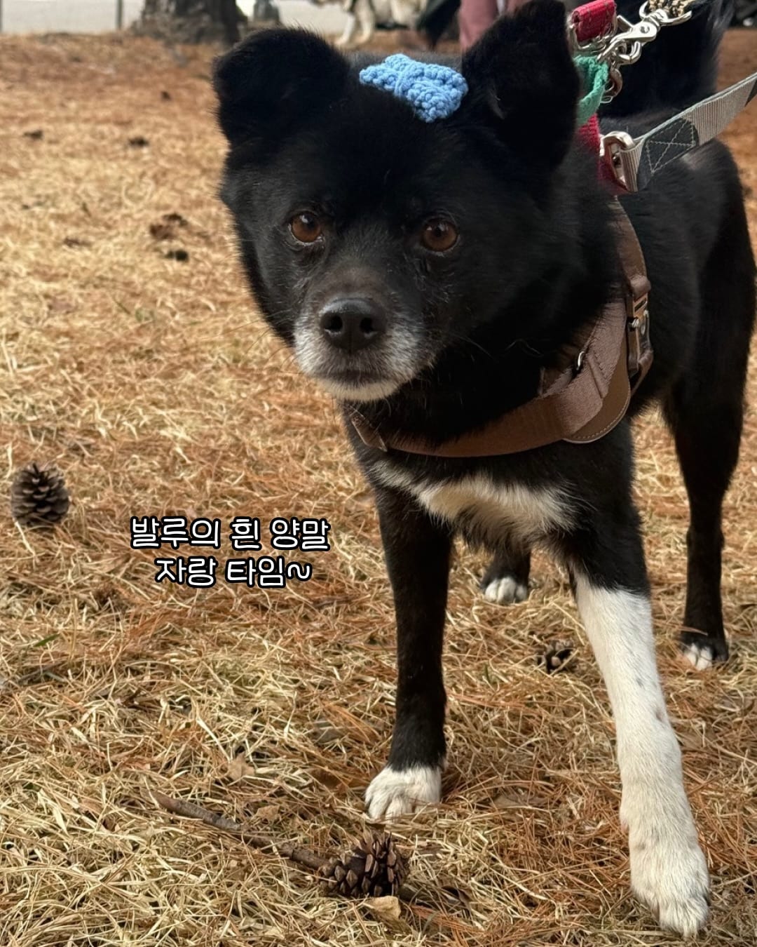 상세 사진 12
