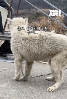 상세 사진 2