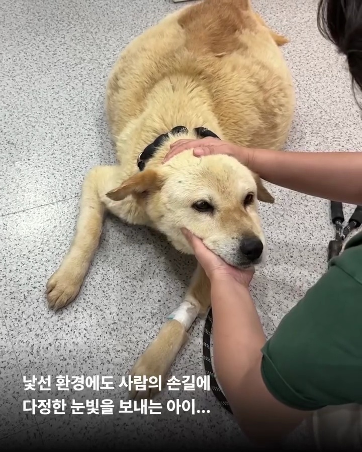상세 사진 8